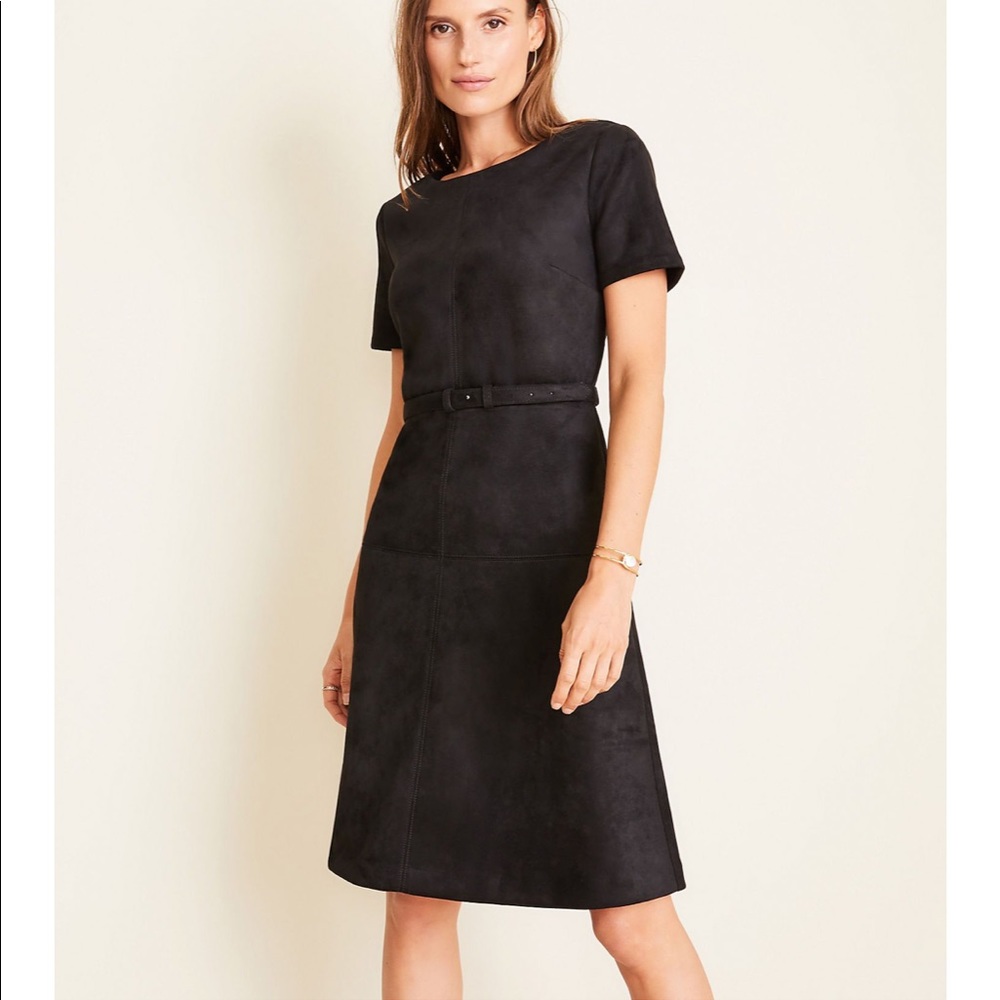 Ann Taylor Suede Dress